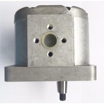 Pompa idraulica a doppio piano Pompa ad ingranaggi CNBA-15/3.0 18GPM 3000PSI