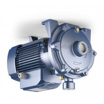 S203M-4100 Hydraulic belt drive plow pump small cast iron fluid 